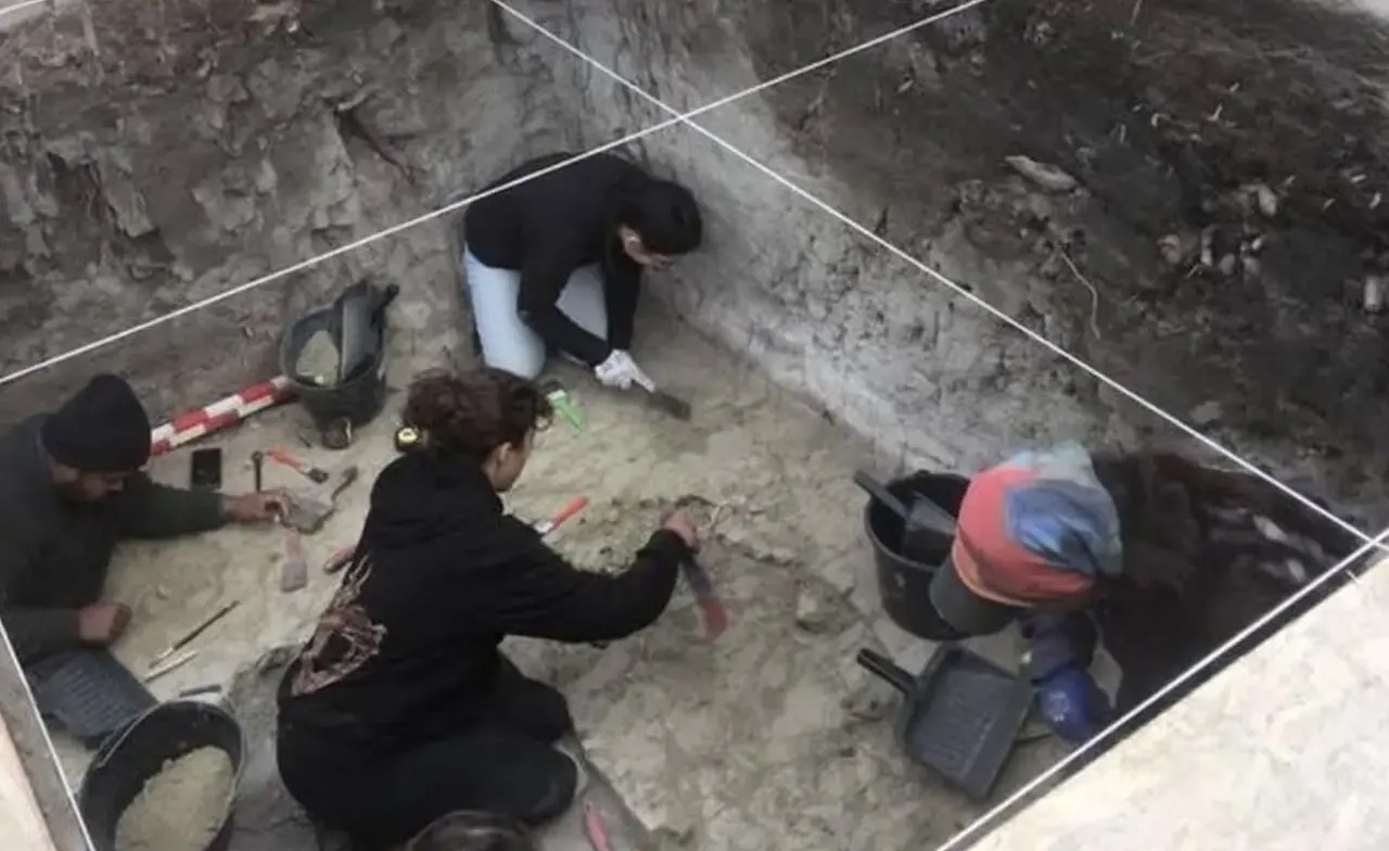 کشف جمجمۀ ۱۲ هزارساله یک جانور غول‌پیکر که احتمالا انسان‌ها مغزش را خورده‌اند