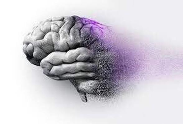 غم و ناراحتی با مغز چه میکند؟