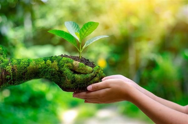 برای نجات زمین، از خودمان شروع کنیم