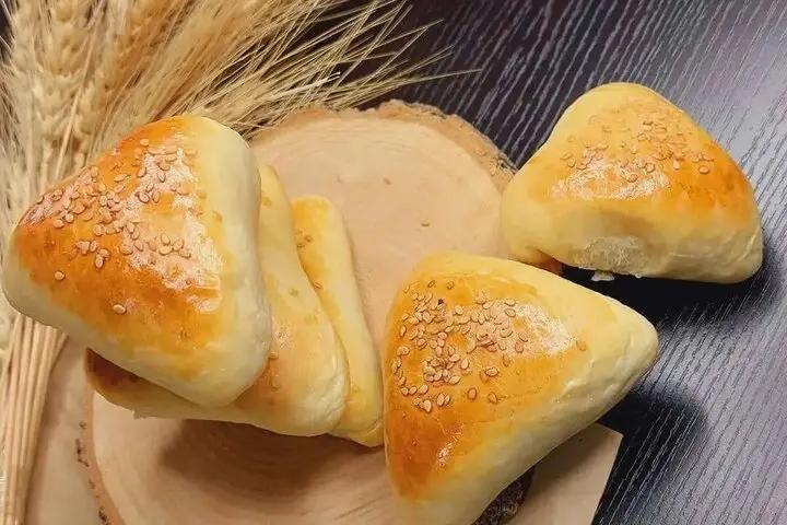 آریا بانو