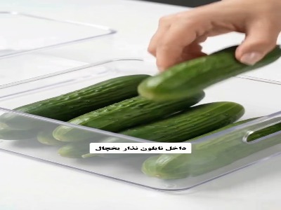 مواد غذایی رو چطور نگهداریم که زود خراب نشن!