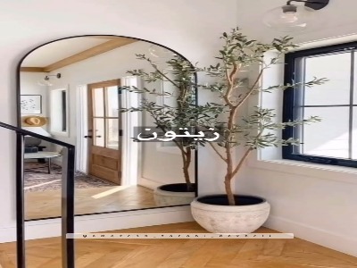 چه گل‌هایی خونه رو شیک میکنه؟!