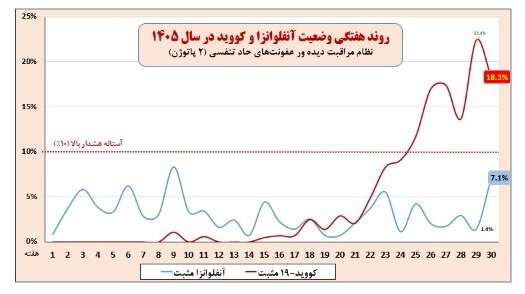 آریا بانو