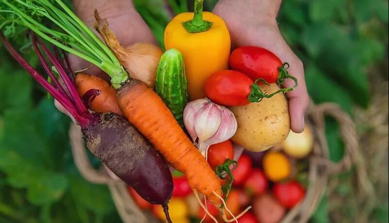 این خوراکی‌ها پوست را جوان‌تر می‌کنند
