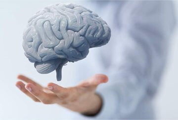 تاثیر مخرب آلاینده‌های هوا بر عملکرد مغز چیست؟